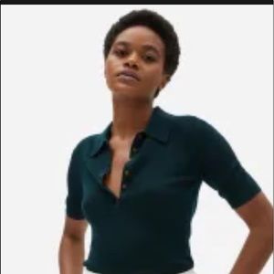 Everlane Italian Merino Polo in Dark Spruce